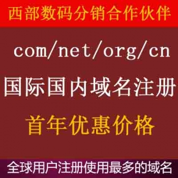 COM/NET/ORG/CN 国际域名 域名注册 新网 万网域名 西数域名 实名认证